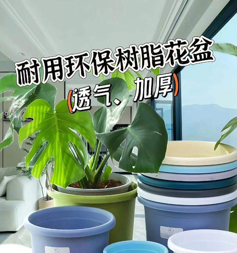 树脂花盆与塑料花盆的区别是什么？