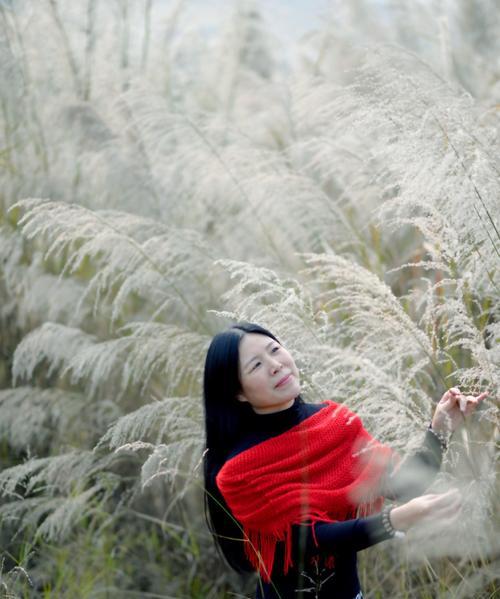 芦苇的花语是什么？芦苇有哪些用途？