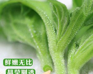 冰菜能生吃吗？食用冰菜的正确方法是什么？