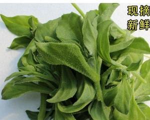 冰菜能生吃吗？食用冰菜的正确方法是什么？