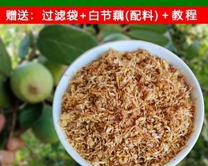 冰粉籽是什么植物？如何正确识别和使用？