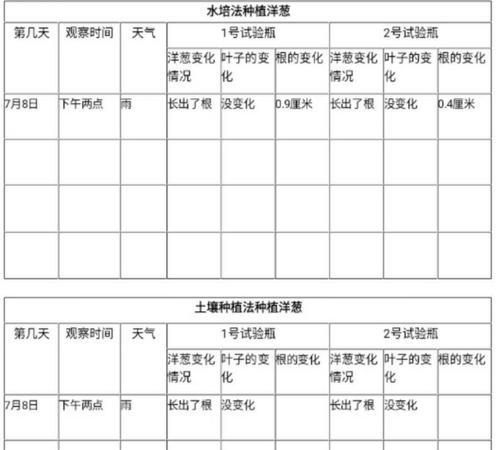 波斯菊的种植方法是什么？最佳栽种时间是什么时候？