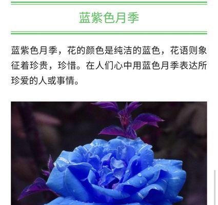 可以跟我说一下每个花代表的花语吗？如何挑选寓意合适的花卉？