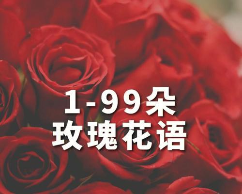 12朵玫瑰代表什么？12朵玫瑰花语的含义是什么？