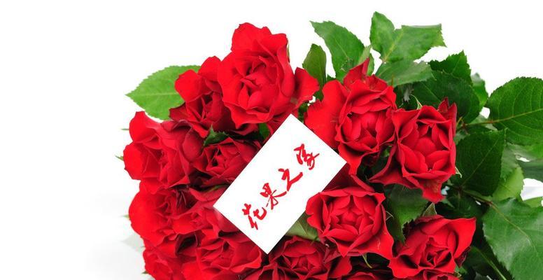 18朵玫瑰的花语是什么？18朵玫瑰代表什么意思？