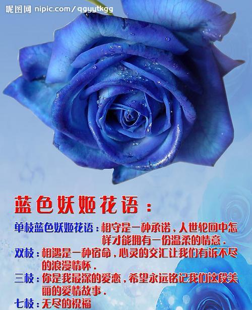 21朵玫瑰代表什么意思？花语背后的爱情寓意是什么？