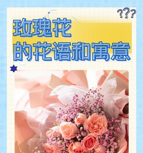 青绿玫瑰的花语是什么？代表了哪些情感或信息？