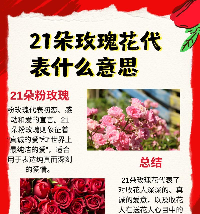 21朵玫瑰搭配3朵百合的花语是什么？代表了什么？