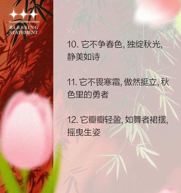 关于描写菊花的句子300字大全有哪些？如何简单表达？