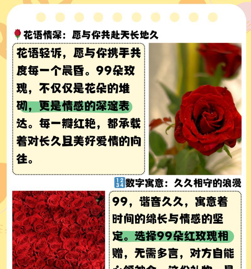 3416朵玫瑰花代表什么？如此多的玫瑰花有何深意？