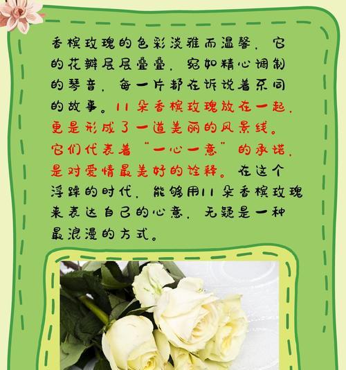 21朵玫瑰加11朵百合代表什么？花语有何深意？