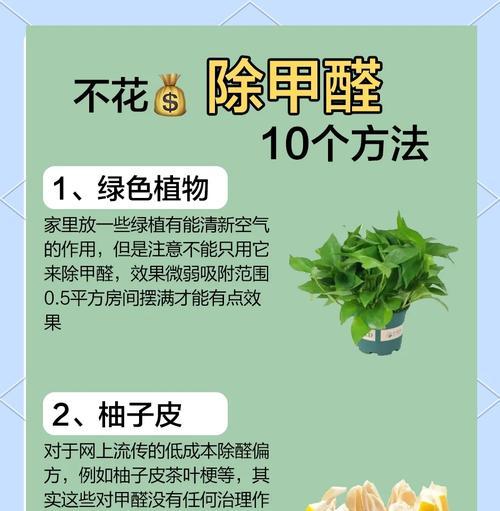 哪些植物具有除甲醛的功效？