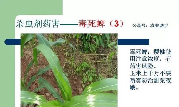 农药温度高导致药害是什么意思？它通常用来表达什么？